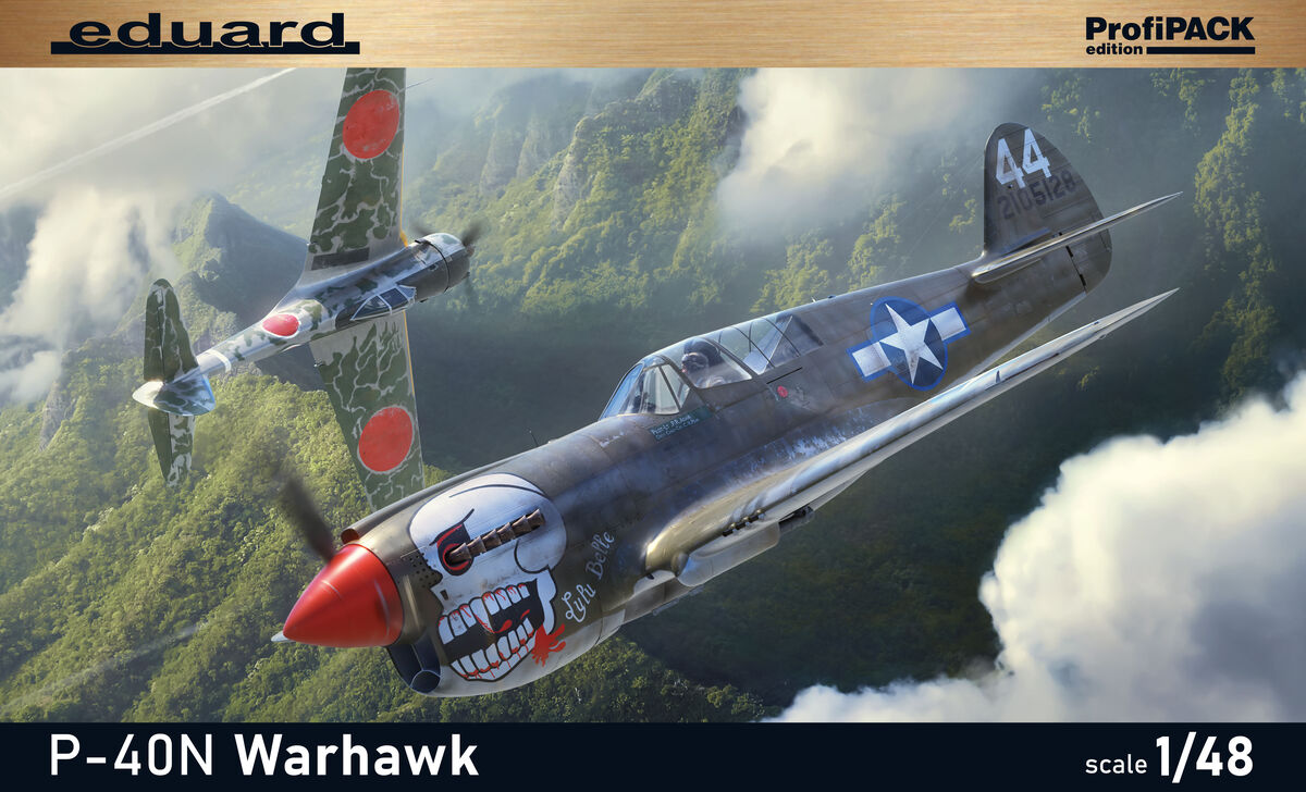 P-40N Warhawk