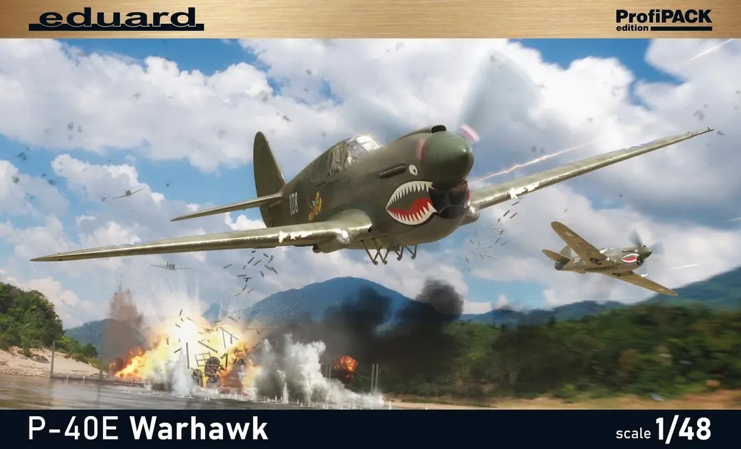 P40 E Warhawk